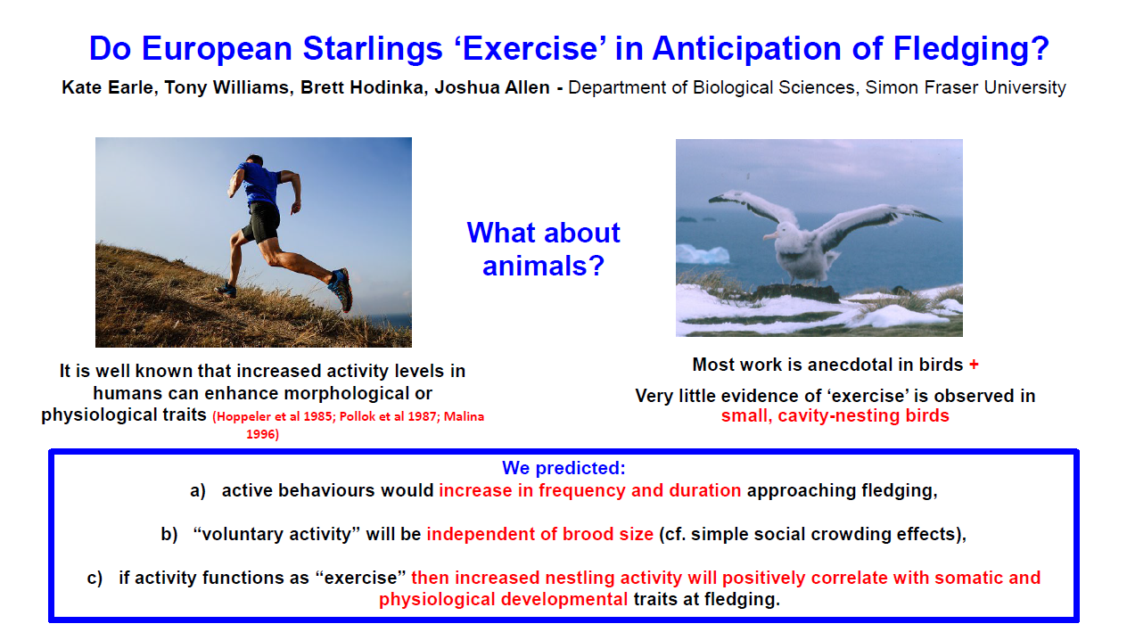 Title slide with image of person running and a bird flying 